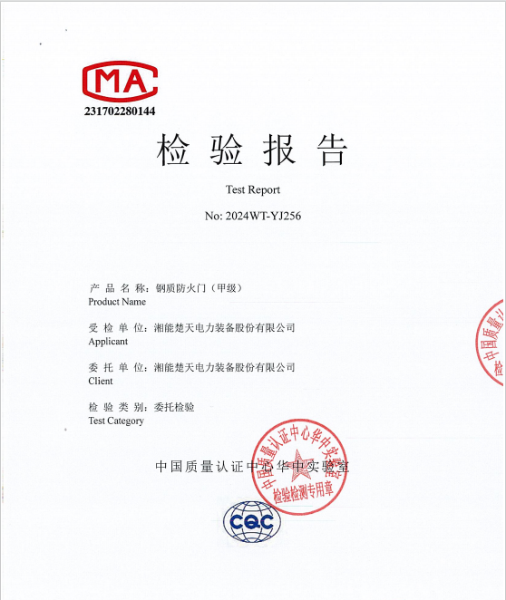 检验报告（钢质防火门 耐火性能检测   2024WT-YJ256）