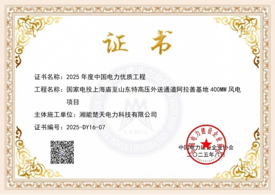 集团董事长陈伟其：戈壁铸丰碑，匠心拓新天——写在阿拉善风电项目荣膺“中国电力优质工程”之际